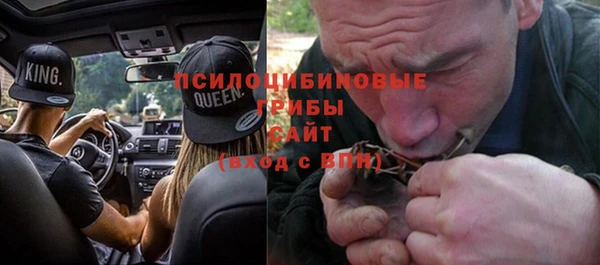 дурь Белокуриха